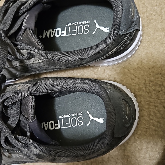 Pumas - Picture 2 of 3